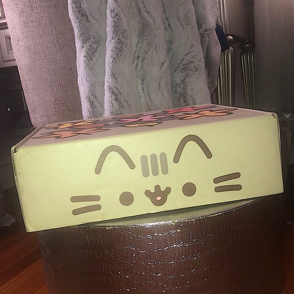Pusheen box - Picture 1 of 4